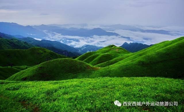 春雨直播app